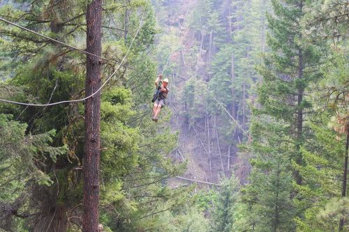 A person zip-lining through a dense forest, surrounded by tall trees and misty mountains in the background.