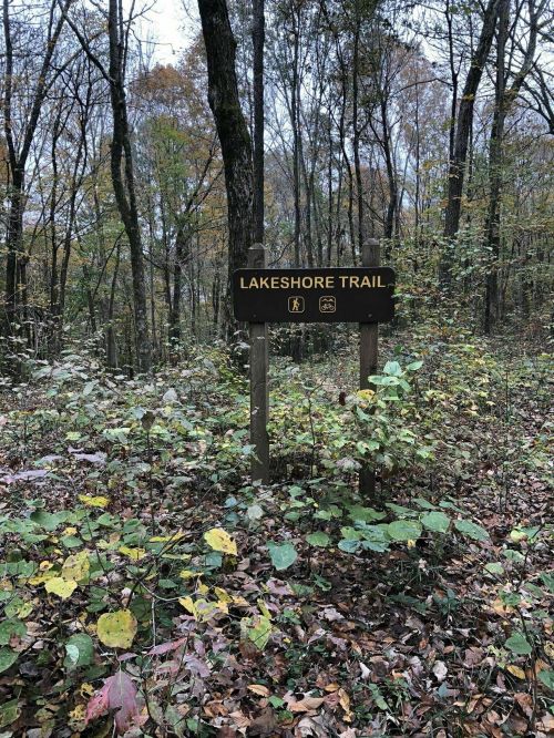 Sign for Lakeshore Trail surrounded by trees and autumn foliage.