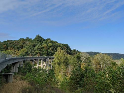 A curved bridge spans over lush greenery and trees under a clear blue sky.