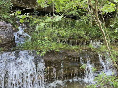 A serene waterfall cascading over rocky terrain, surrounded by lush green foliage and trees.