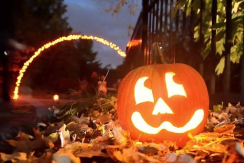 A glowing jack-o'-lantern sits among fallen leaves, with a soft light arching in the background on a dark evening.