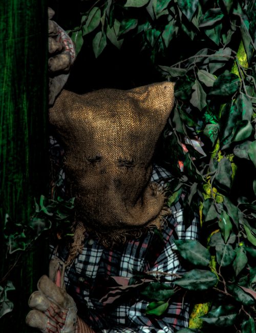 A figure in a burlap sack mask hides among dense green foliage, wearing a plaid shirt.