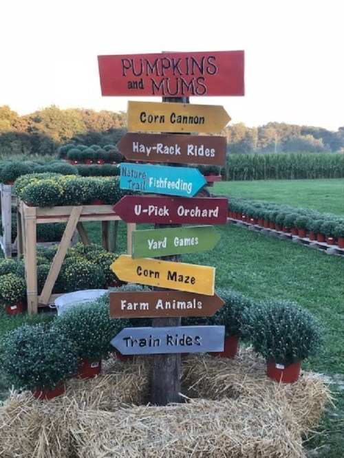 A colorful signpost with directions to various fall activities like corn cannon, hay-rack rides, and a corn maze.