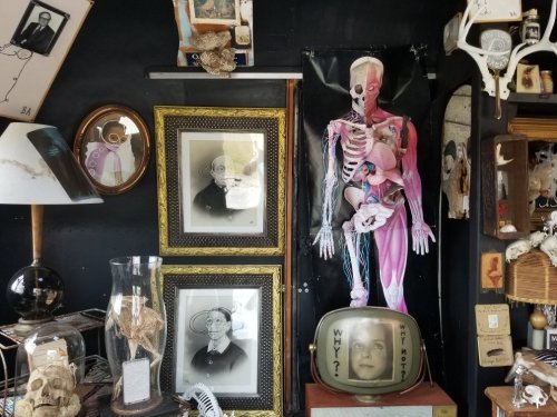 A quirky display featuring vintage portraits, a skeleton model, and a retro TV with a face asking "WHY?" in a dark setting.