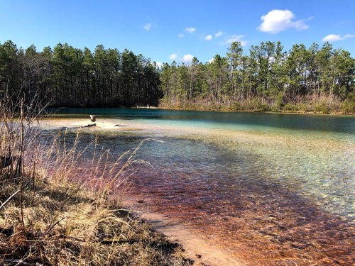 A serene lake with clear blue water, surrounded by green trees and sandy shores under a bright blue sky.