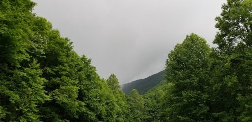Lush green trees line a road, leading to a misty mountain under a cloudy sky.