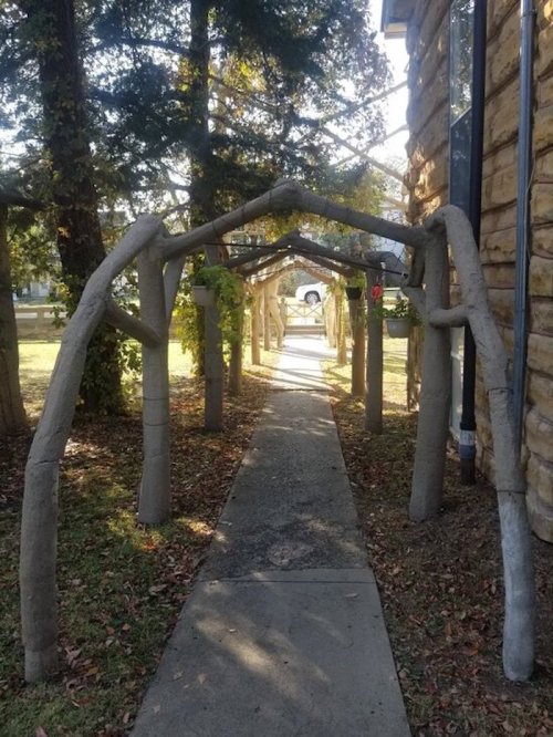 A pathway lined with unique, arching tree branches creating a natural tunnel effect.