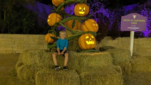 A child sits on hay bales in front of a Jack-o'-lantern tree with glowing pumpkins at night.