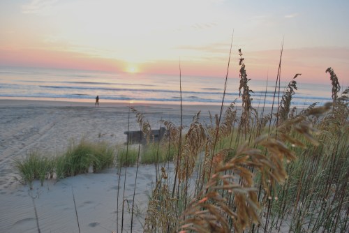 A serene beach at sunset, with tall grass in the foreground and a person walking along the shore in the distance.