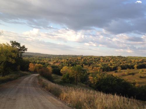 A winding dirt road leads through a lush, green landscape with trees and rolling hills under a cloudy sky.