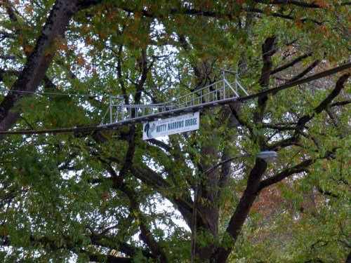 A sign reading "Mitty Harris Bridge" hangs above a tree, with branches and leaves surrounding it.