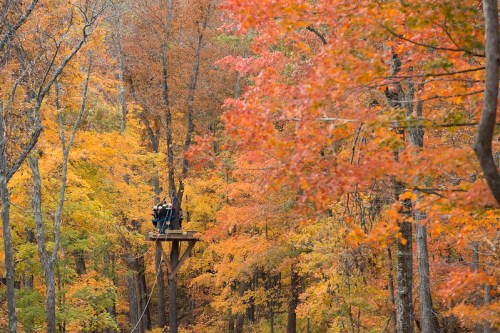 Two people on a platform in a colorful autumn forest, surrounded by vibrant orange and red leaves.