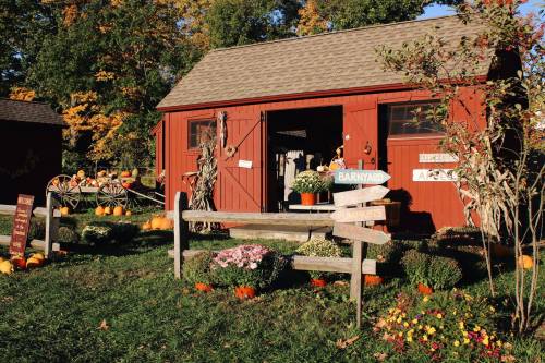 A red barn with pumpkins and flowers in front, surrounded by autumn foliage and directional signs.