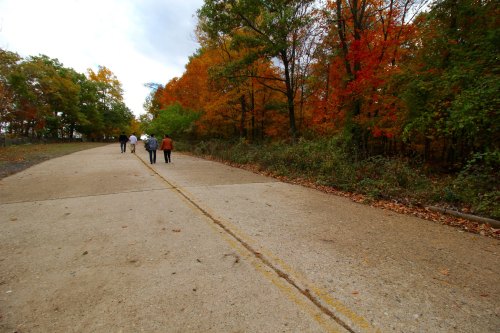 Four people walking on a tree-lined path with vibrant autumn foliage in shades of orange and green.