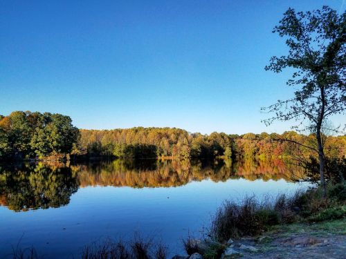 A serene lake surrounded by trees, reflecting autumn colors under a clear blue sky.