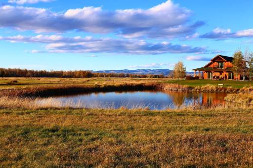 A serene landscape featuring a pond, grassy fields, and a cozy house under a blue sky with fluffy clouds.