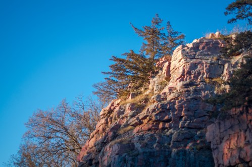 A rocky cliff with trees against a clear blue sky, showcasing natural textures and colors.