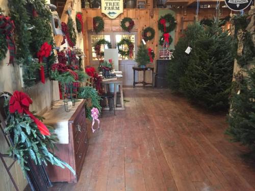 A cozy shop filled with Christmas wreaths, trees, and festive decorations, featuring wooden floors and rustic decor.