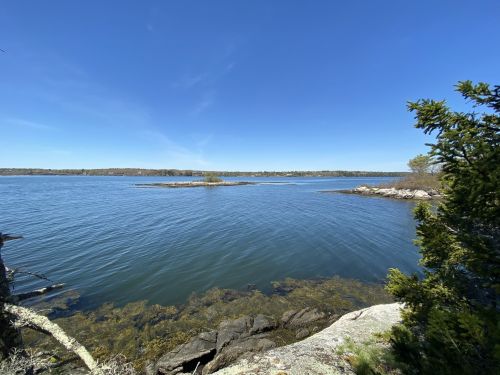 A serene view of a calm lake with rocky shores and distant trees under a clear blue sky.