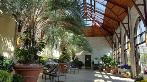 A bright indoor garden with tall palms, colorful flowers, and large windows under a wooden ceiling.
