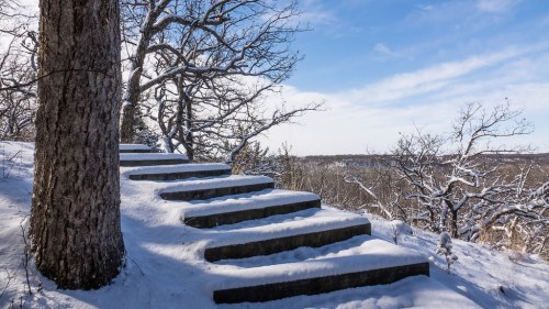 Snow-covered stone steps lead up a hillside, surrounded by bare trees and a clear blue sky.