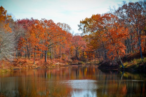 A serene lake surrounded by trees with vibrant autumn foliage in shades of orange and red.