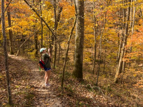 A person in a green shirt and shorts stands on a trail, taking photos of colorful autumn trees in a forest.