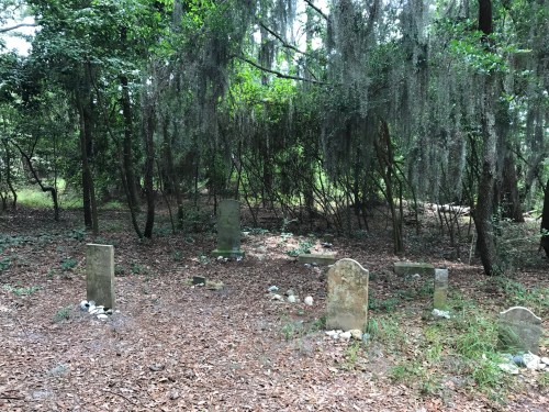 A small, overgrown graveyard with several weathered headstones surrounded by trees and Spanish moss.