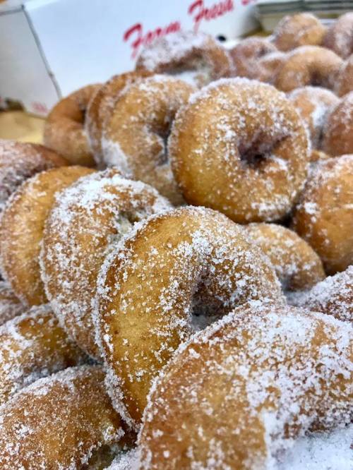 A close-up of a pile of freshly made, sugar-coated donuts.