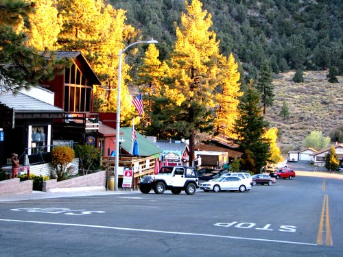 A small town street lined with trees, shops, and parked cars, illuminated by warm sunlight in the late afternoon.