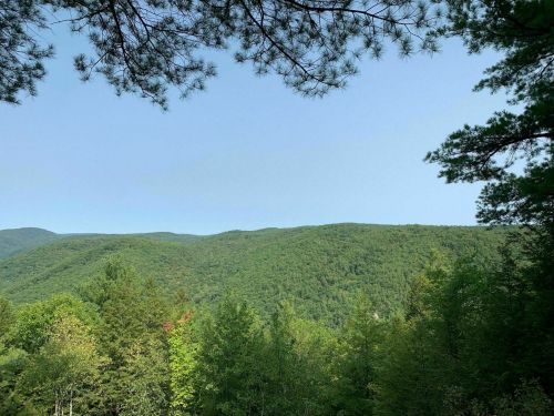 Lush green mountains under a clear blue sky, framed by tree branches in the foreground.