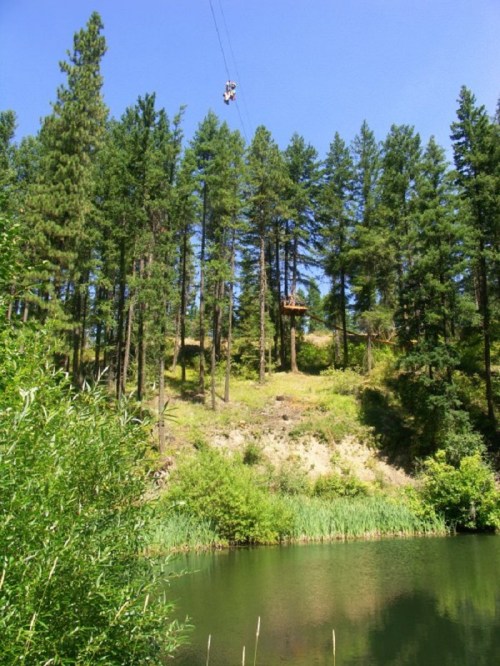 A zip line stretches over a serene lake, surrounded by tall green trees and a hillside.
