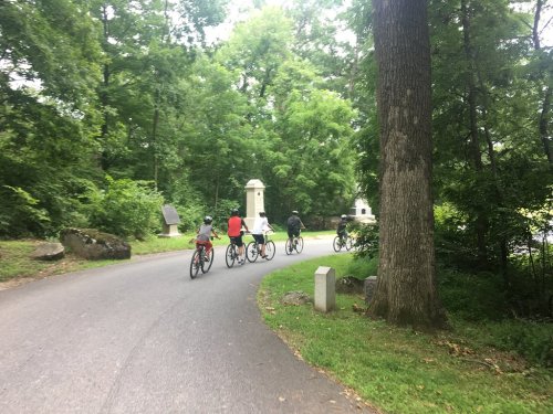 A group of six cyclists riding on a winding road surrounded by lush green trees.