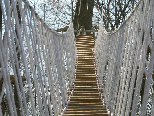 A wooden suspension bridge with rope railings stretches through a forest, surrounded by bare trees and a clear sky.