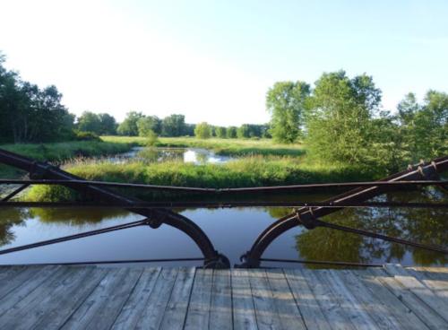 View from a wooden bridge overlooking a calm river surrounded by lush greenery and trees under a clear blue sky.