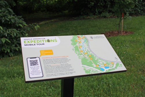 Sign for the Arnold Arboretum mobile tour, featuring a map and QR code for more information.