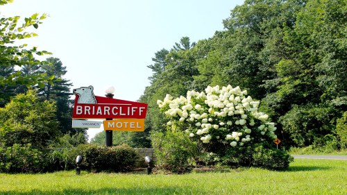 Sign for Briarcliff Motel with a bear logo, surrounded by lush greenery and blooming white flowers.
