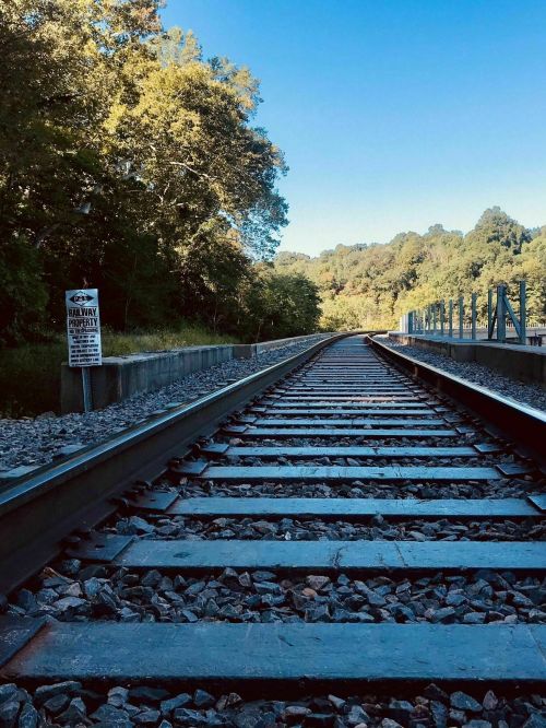 A view of railway tracks stretching into the distance, surrounded by trees and a clear blue sky.