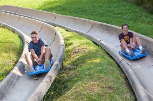 Two young men enjoy a summer day sliding down a grassy, curved luge track on blue sleds.