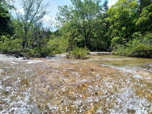 A clear stream flows over rocks, surrounded by lush green trees and shrubs under a bright blue sky.
