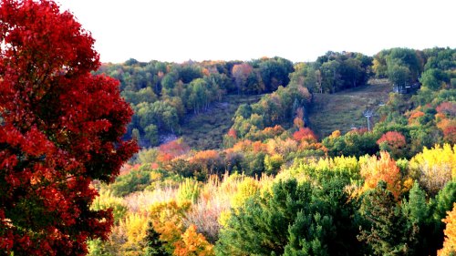 Vibrant autumn landscape with colorful trees, featuring red, orange, and yellow foliage on rolling hills.