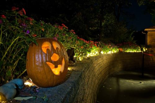 A carved pumpkin with a smiling face sits on a stone wall, surrounded by flowers and soft glowing lights at night.
