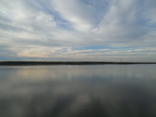 A serene river scene with calm waters reflecting a cloudy sky and distant trees along the horizon.