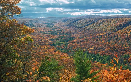 A panoramic view of a vibrant autumn landscape with rolling hills covered in colorful foliage under a cloudy sky.