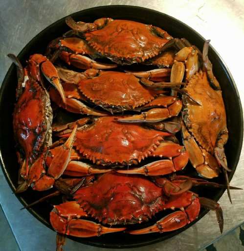 A black platter filled with several cooked crabs, showcasing their bright orange shells and claws.