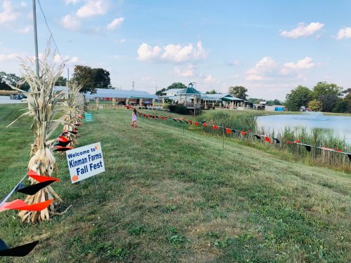 A grassy path lined with corn stalks and colorful banners leads to a pond and buildings at Kinman Farms Fall Fest.