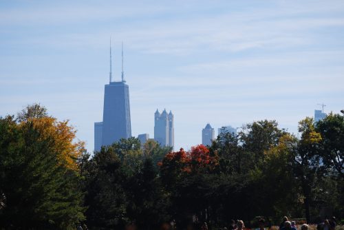 City skyline featuring tall buildings and trees with autumn foliage under a clear blue sky.