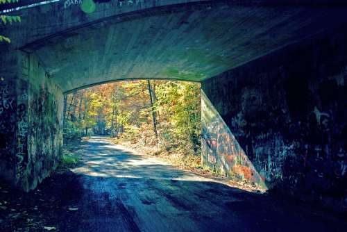 A sunlit path leads through a graffiti-covered tunnel, surrounded by vibrant autumn foliage.