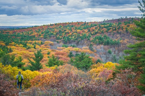 A hiker walks through a vibrant autumn landscape with colorful trees under a cloudy sky.