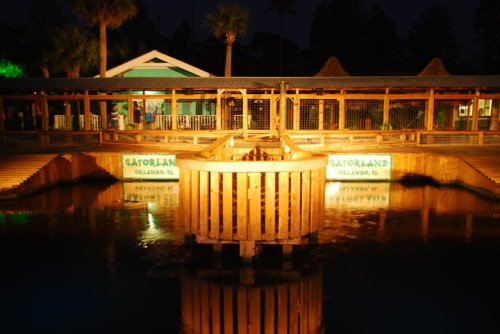 A wooden bridge over water at Gatorland, Orlando, illuminated at night with palm trees in the background.